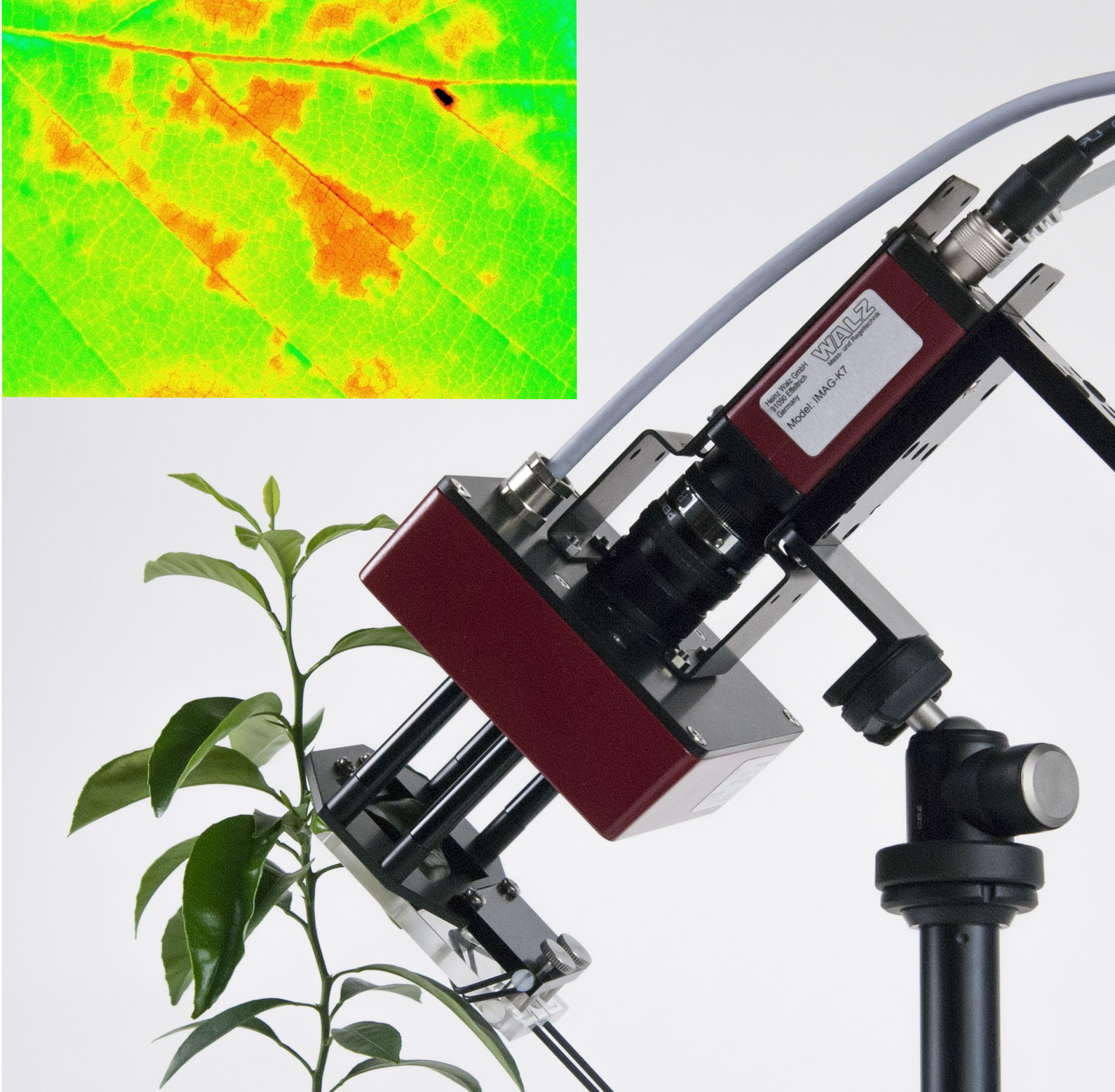 MONITORING-PAM Chlorophyll Fluorometer