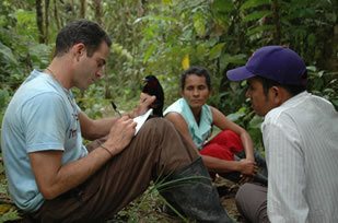 research in the chocó rainforest