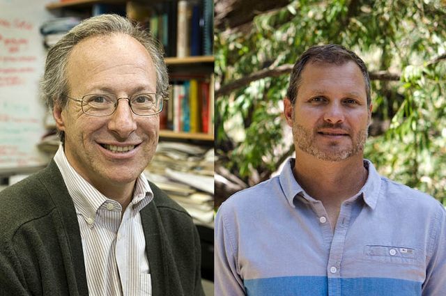 ucla professors paul barber, robert wayne to enhance undergraduate stem education