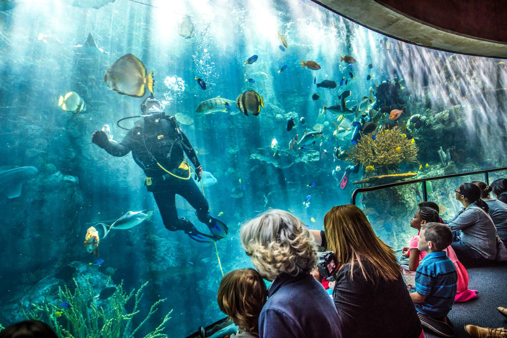 aquarium of the pacific long beach parking