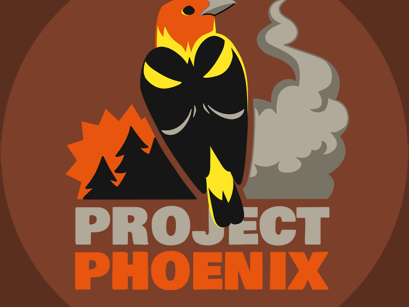 ProjectPhoenix_Icon_Brown