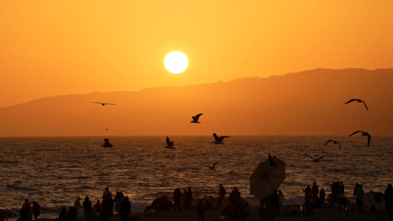 Seagulls fly in front of the setting sun on Santa Monica Beach in Los Angeles, California, where an excessive heat warning has been issued for this weekend | Gary Hershorn