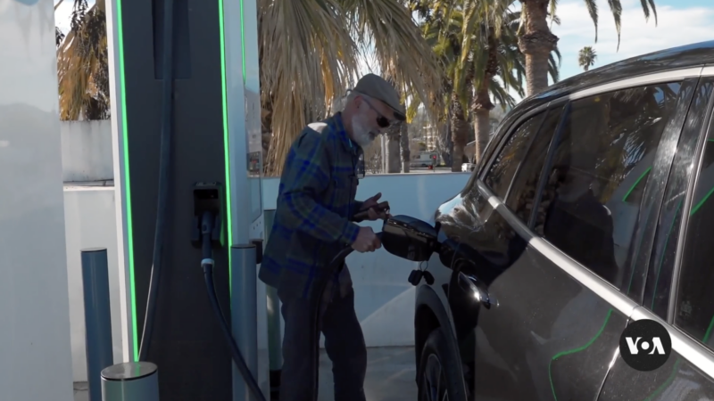 Driver charging Electric Vehicle