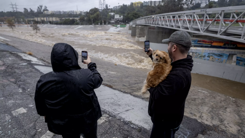 A couple take photos of a rain-swollen Los Angeles River near Atwater Village, in Los Angeles. (Ringo Chiu / For The Times)