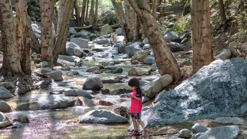 A child plays along the Arroyo Seco near Switzer Picnic Area, San Gabriel Mountains National Monument.