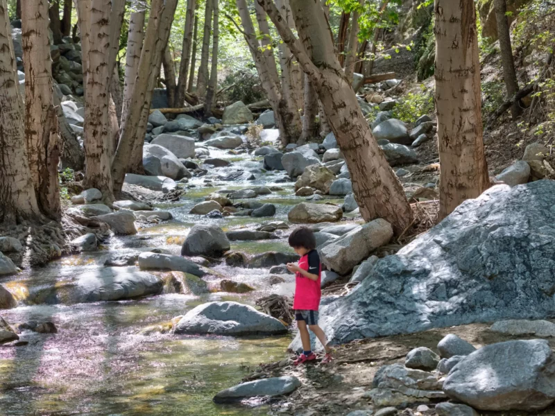 A child plays along the Arroyo Seco near Switzer Picnic Area, San Gabriel Mountains National Monument.