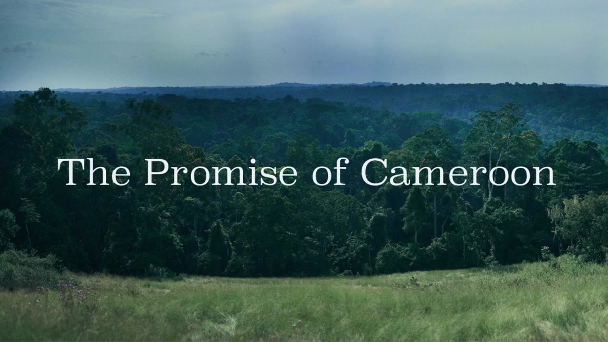 Forest in Cameroon with the text 'The Promise of Cameroon'