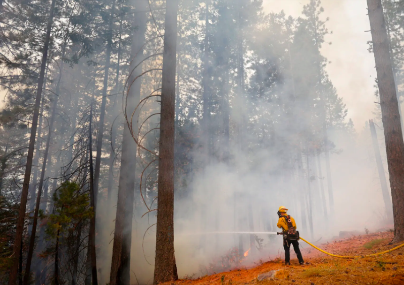 A firefighter working along Highway 32 in Butte County, Calif., on Saturday.Credit...Daniel Dreifuss for The New York Times