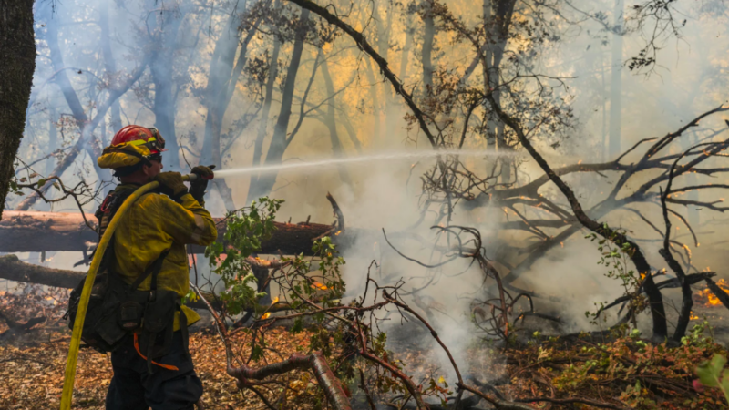 A firefighter sprays water on the Park Fire burning near Forest Ranch, Calif., Saturday, July 27, 2024. (AP Photo/Nic Coury)