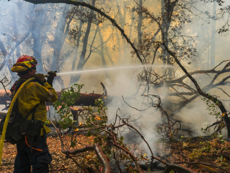 A firefighter sprays water on the Park Fire burning near Forest Ranch, Calif., Saturday, July 27, 2024. (AP Photo/Nic Coury)