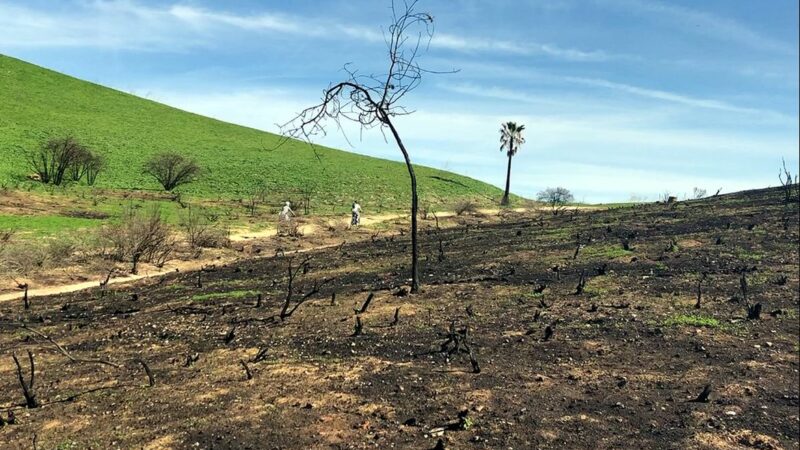 Wildfires are among the many threats to California sustainability researchers highlighted and offered solutions for. Above, the Santa Monica mountains a few months after the 2018 Woolsey fire.