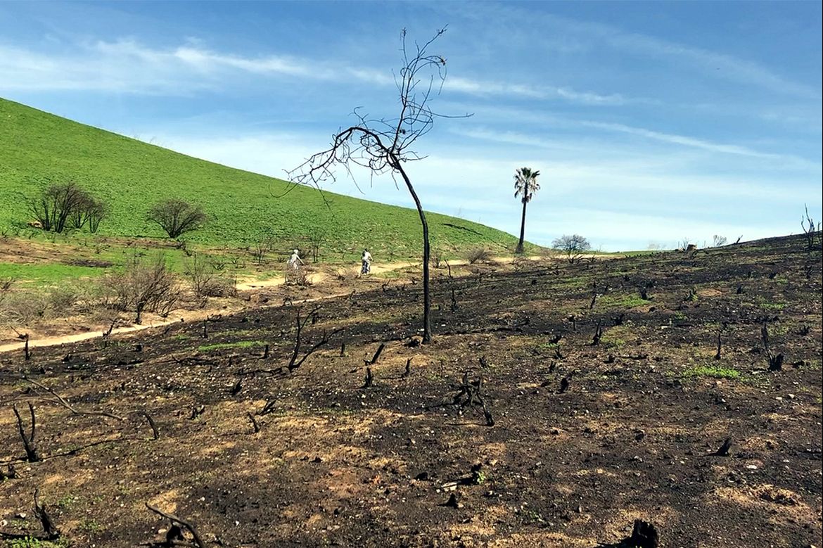 Wildfires are among the many threats to California sustainability researchers highlighted and offered solutions for. Above, the Santa Monica mountains a few months after the 2018 Woolsey fire.