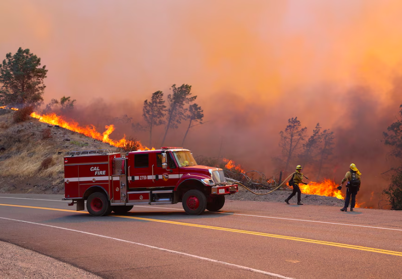 Firefighters work to control the Park Fire on Wednesday. (Cal Fire Amador-El Dorado Unit/via REUTERS)