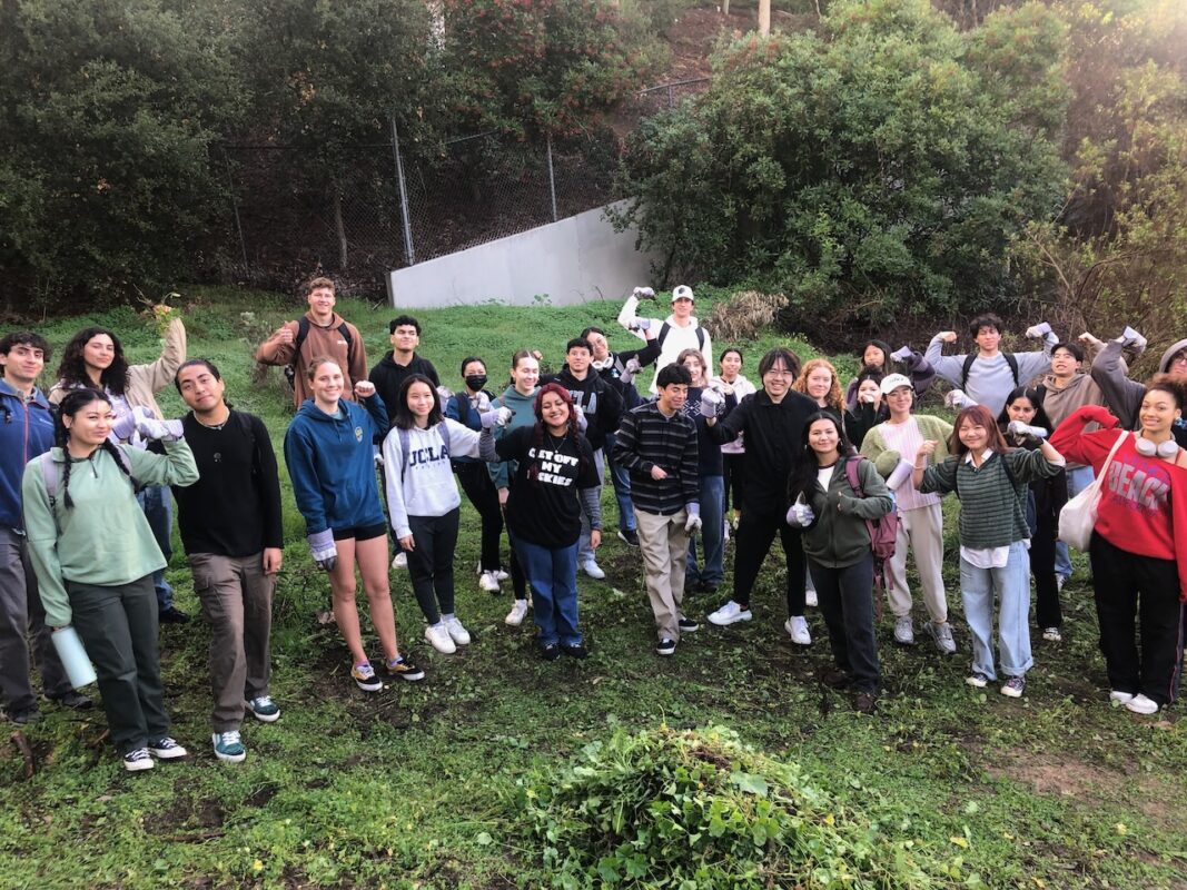 Students flex their restoration muscle by pulling weeds at Sage Hill. 