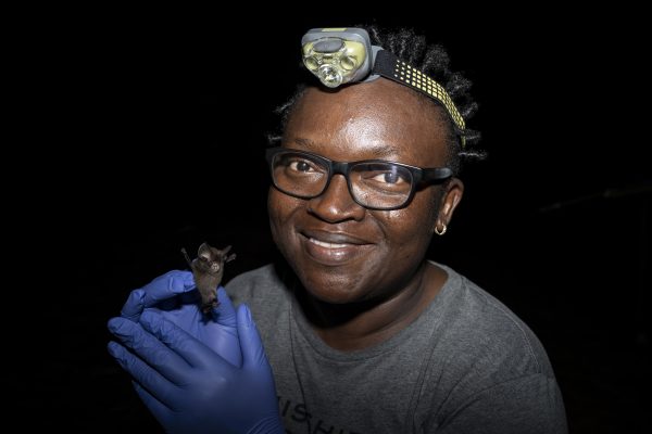 Iroro Tanshi holds up a bat at the makeshift workstation in Odukpani, Cross River State on the 18th of February, 2024