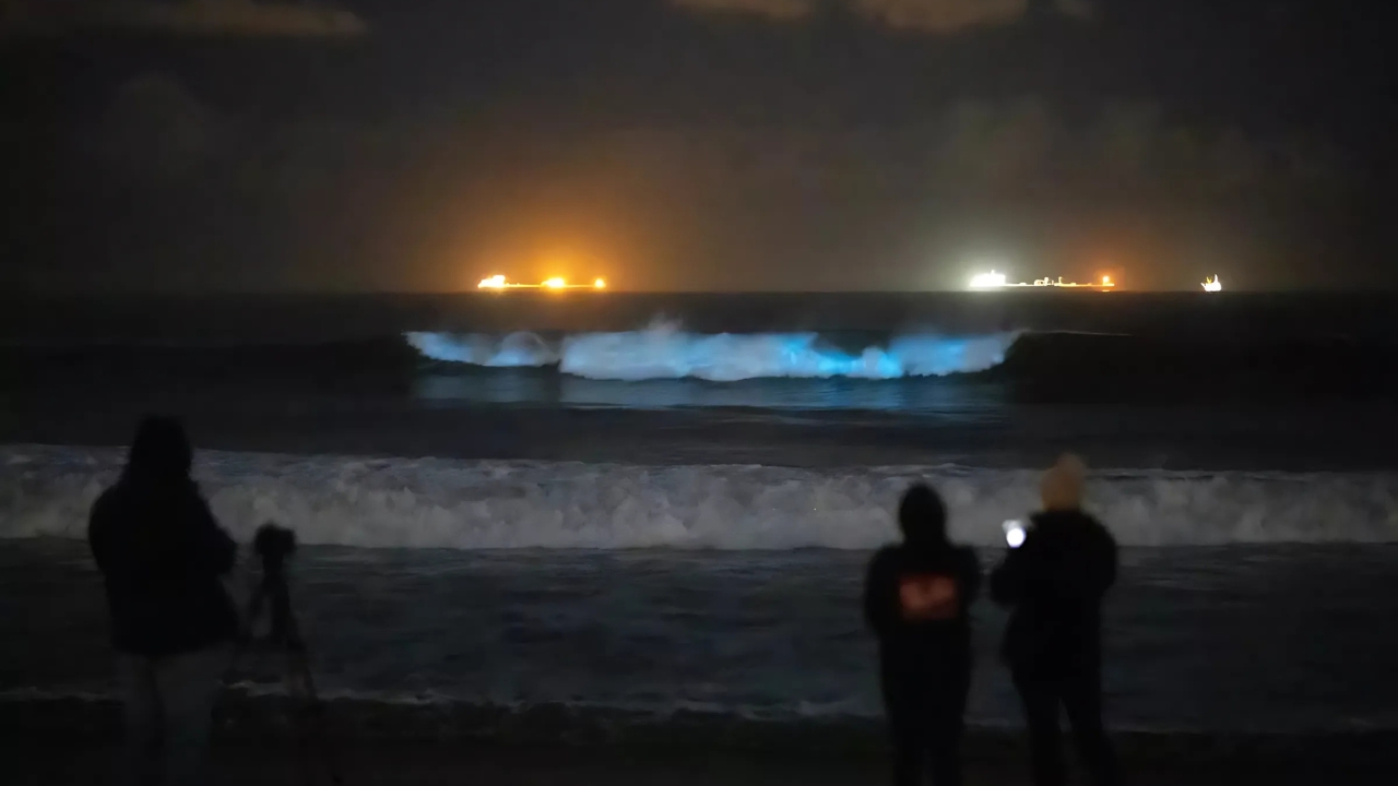 Beachgoers watch and record images of bioluminescent waves breaking in Huntington Beach on Jan. 2, 2024. Bioluminescence is light emitted by living things through chemical reactions in their bodies. 