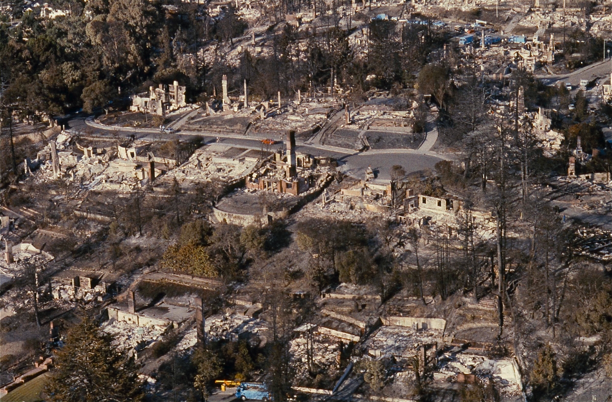 burned down homes and scorched trees